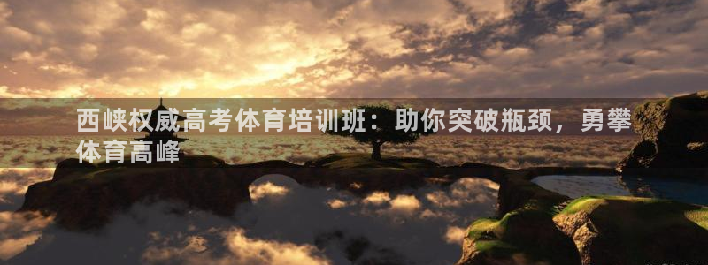 极悦娱乐股东结构：西峡权威高考体育培训班：助你突破瓶