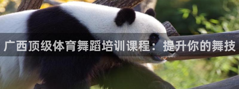 极悦平台官方网站是什么软件：广西顶级体育舞蹈培训课程