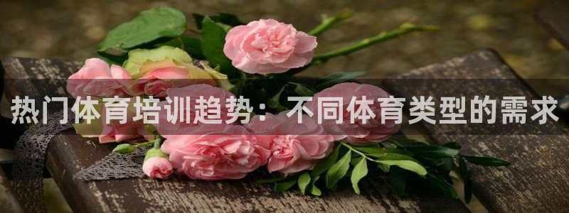 极悦平台注册申请流程详解图片：热门体育培训趋势：不同