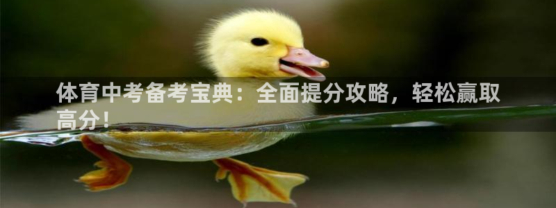 极悦娱乐官方网站入口：体育中考备考宝典：全面提分攻略