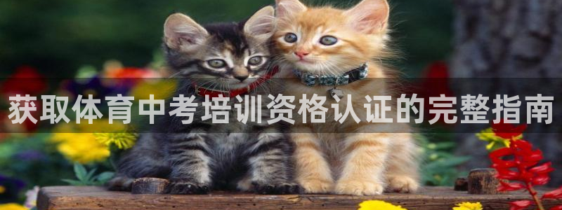 深圳极悦文化传媒有限公司：获取体育中考培训资格认证的