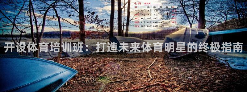 极悦平台是干什么的：开设体育培训班：打造未来体育明星