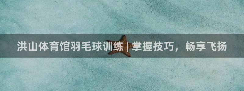 极悦平台是什么公司：洪山体育馆羽毛球训练 | 掌握技