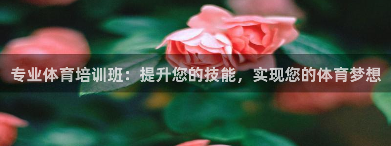 极悦平台是干嘛的啊：专业体育培训班：提升您的技能，实