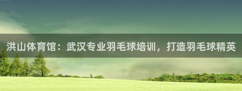 极悦娱乐管理最建议买吗：洪山体育馆：武汉专业羽毛球培