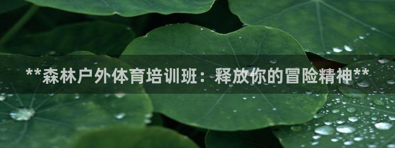 极悦官方网站入口：**森林户外体育培训班：释放你的冒