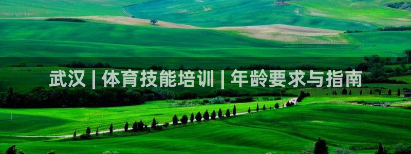 极悦娱乐官网入口网址：武汉 | 体育技能培训 | 年