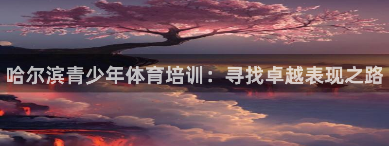 极悦平台注册资金多少：哈尔滨青少年体育培训：寻找卓越