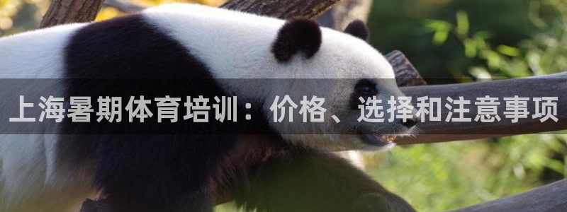 极悦平台是什么平台的：上海暑期体育培训：价格、选择和