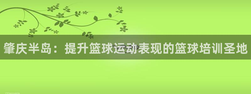 极悦平台是什么公司：肇庆半岛：提升篮球运动表现的篮球