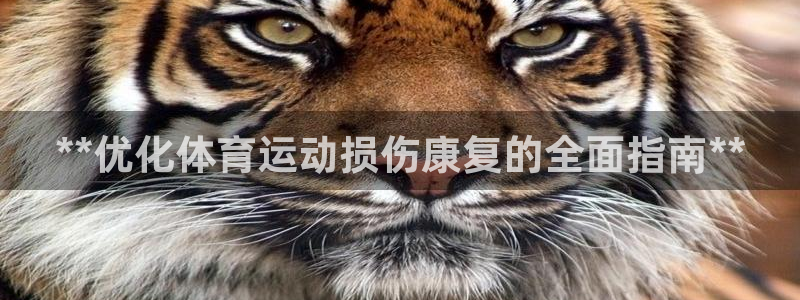极悦官网注册最新版本更新内容在哪：**优化体育运动损