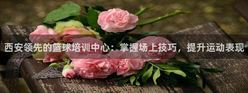 极悦平台注册官方网站下载安卓手机：西安领先的篮球培训