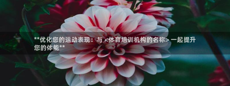 极悦平台注册：**优化您的运动表现：与 <体育培训机