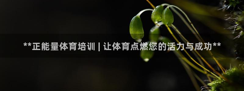 极悦平台注册资金多少亿：**正能量体育培训 | 让体