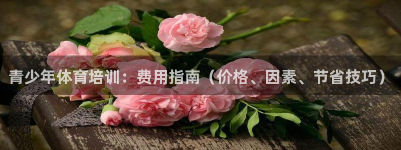 极悦平台官方网站下载：青少年体育培训：费用指南（价格