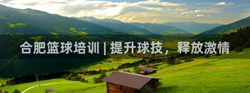 极悦娱乐下载官网：合肥篮球培训 | 提升球技，释放激