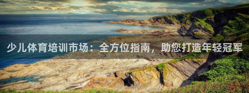 极悦娱乐代理多少钱一年：少儿体育培训市场：全方位指南