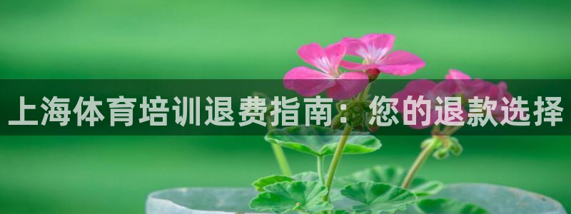 极悦平台是什么公司：上海体育培训退费指南：您的退款选