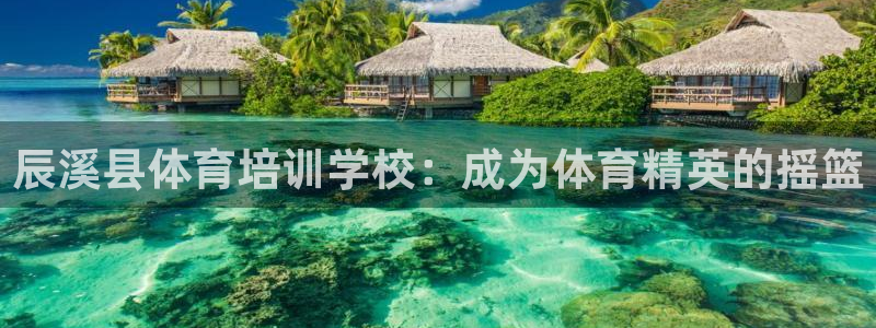 极悦娱乐公司最新招聘信息网：辰溪县体育培训学校：成为