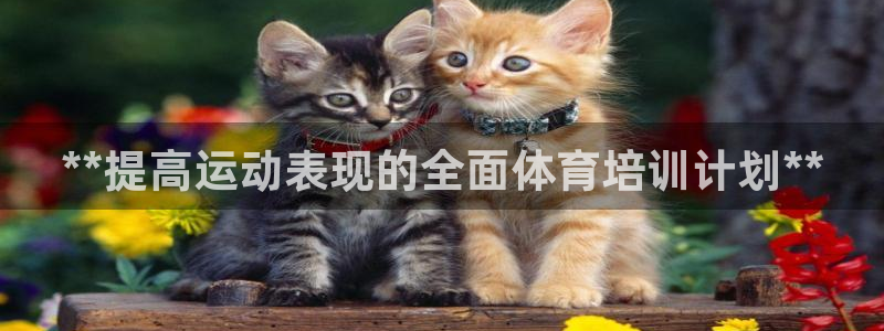 极悦娱乐方7O777：**提高运动表现的全面体育培训