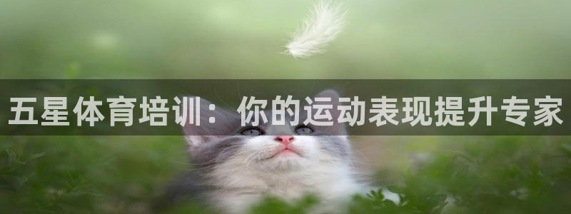 极悦官网旗舰店电话：五星体育培训：你的运动表现提升专