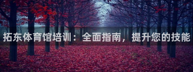 极悦平台有风险吗知乎：拓东体育馆培训：全面指南，提升