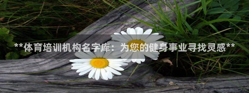 极悦娱乐现在叫什么：**体育培训机构名字库：为您的健