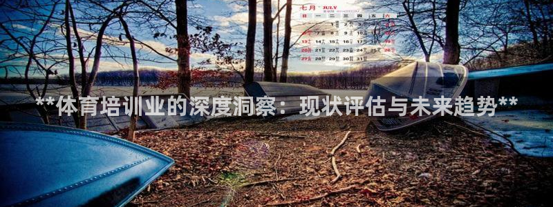 极悦娱乐代理怎么样：**体育培训业的深度洞察：现状评