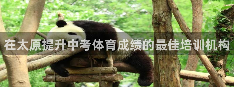 极悦平台注册登录不上：在太原提升中考体育成绩的最佳培