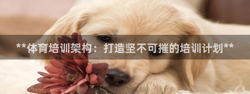 极悦娱乐挂机赚钱是真的吗：**体育培训架构：打造坚不