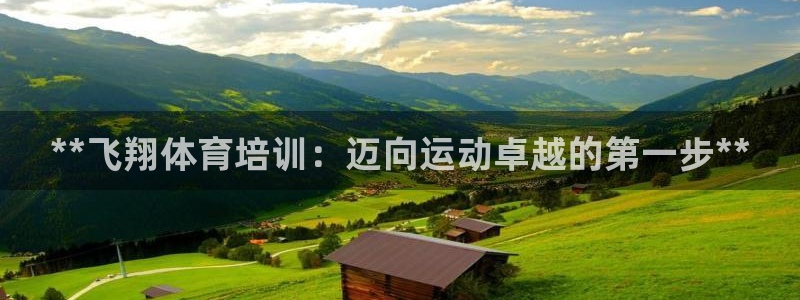 极悦娱乐官方网站入口：**飞翔体育培训：迈向运动卓越