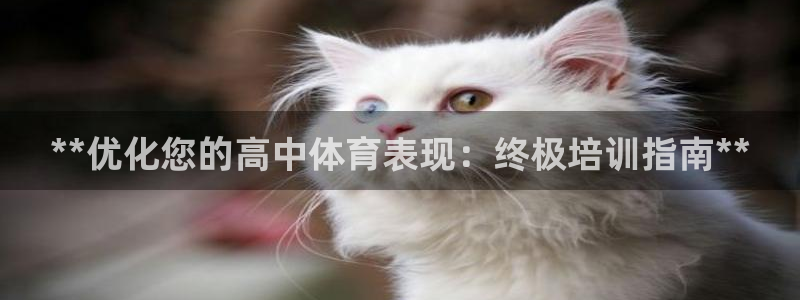 极悦官网下载最新版本更新内容视频：**优化您的高中体