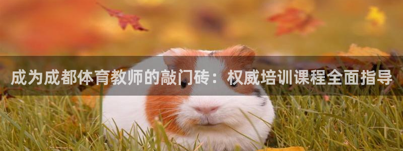 极悦娱乐公司最新招聘信息电话：成为成都体育教师的敲门