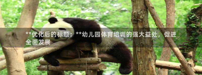 极悦平台安全吗：**优化后的标题：**幼儿园体育培训