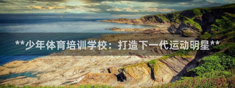 极悦平台与网易合作详情：**少年体育培训学校：打造下