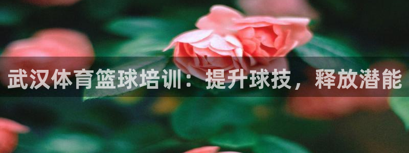 极悦平台非7O777：武汉体育篮球培训：提升球技，释