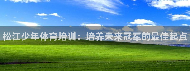 极悦平台登录7.0.2.4手机版下载：松江少年体育培