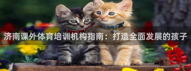 极悦平台登录7.0.2.4手机版下载：济南课外体育培