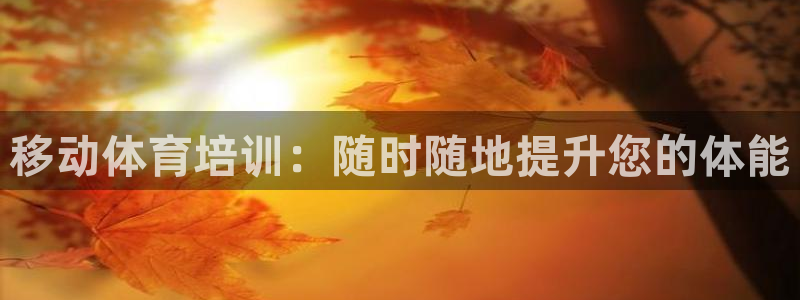 极悦平台用户评价：移动体育培训：随时随地提升您的体能