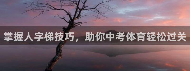 极悦官方网站入口网址是多少：掌握人字梯技巧，助你中考