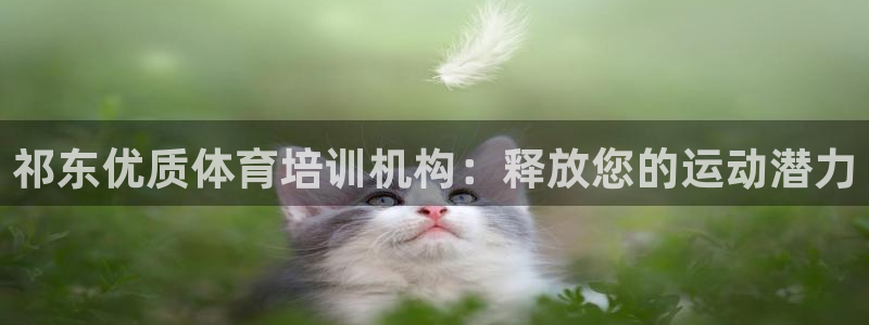 极悦牙膏怎么样：祁东优质体育培训机构：释放您的运动潜