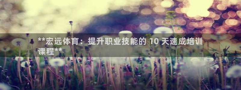 极悦平台注册流程：**宏远体育：提升职业技能的 10