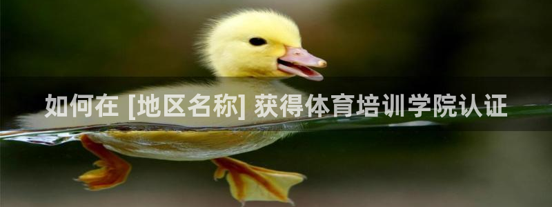 极悦平台创始人背景故事视频：如何在 [地区名称] 获
