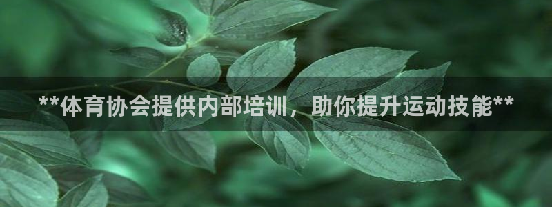 极悦平台注册官网下载：**体育协会提供内部培训，助你