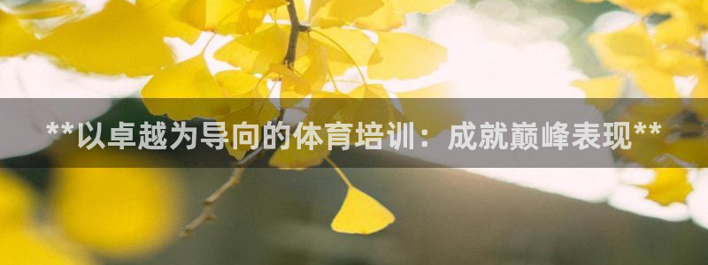 极悦平台注册官网网址：**以卓越为导向的体育培训：成