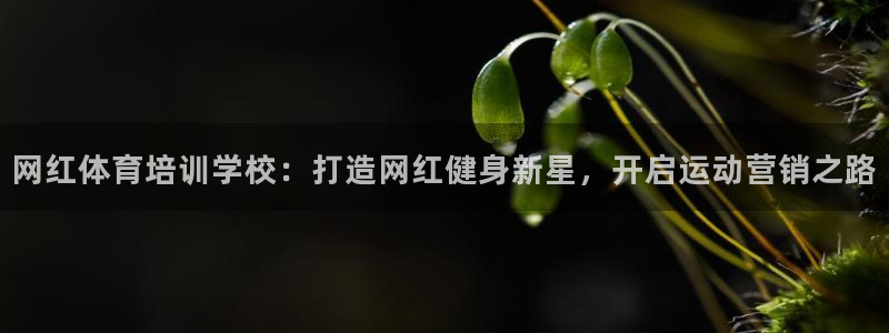 极悦平台注册失败如何解决方法：网红体育培训学校：打造