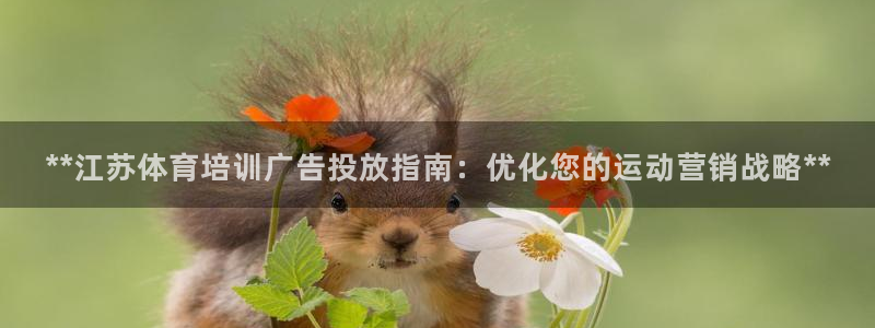 极悦娱乐挂机赚钱是真的吗安全吗：**江苏体育培训广告