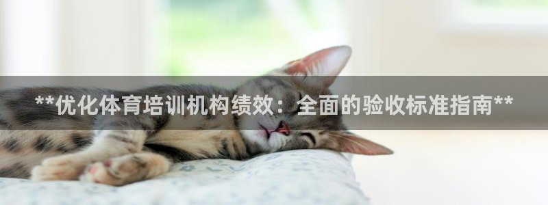 极悦平台代理怎么做：**优化体育培训机构绩效：全面的