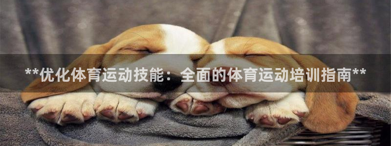 极悦官网：**优化体育运动技能：全面的体育运动培训指