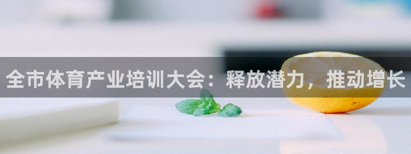 极悦平台官方网站入口：全市体育产业培训大会：释放潜力